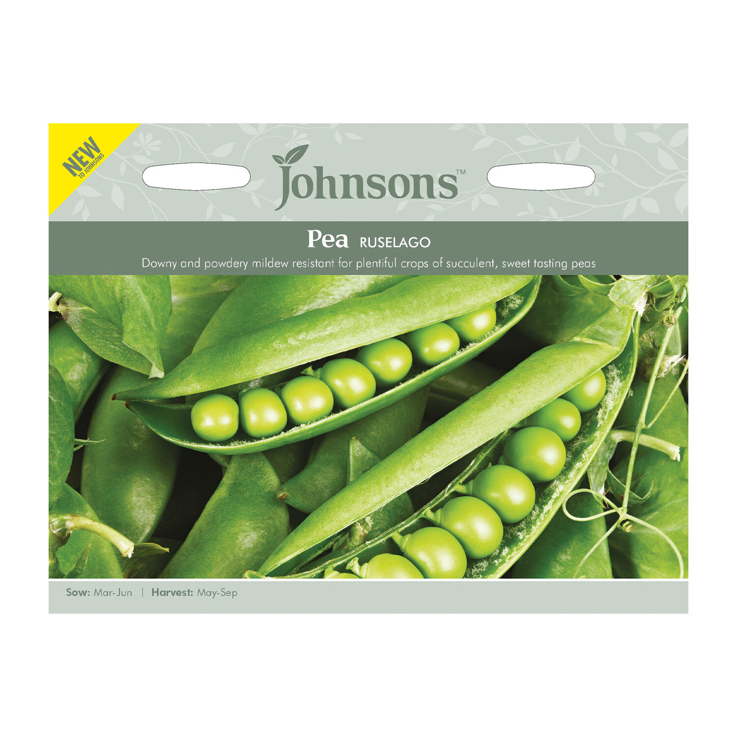Johnsons Pea Ruselago Vegetable Seeds Image 2