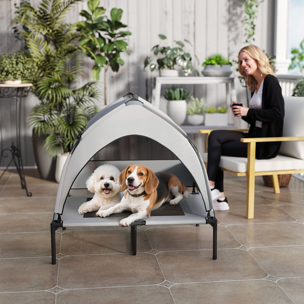 PawHut Medium Portable Elevated Dog Bed with Removable Canopy Image 3