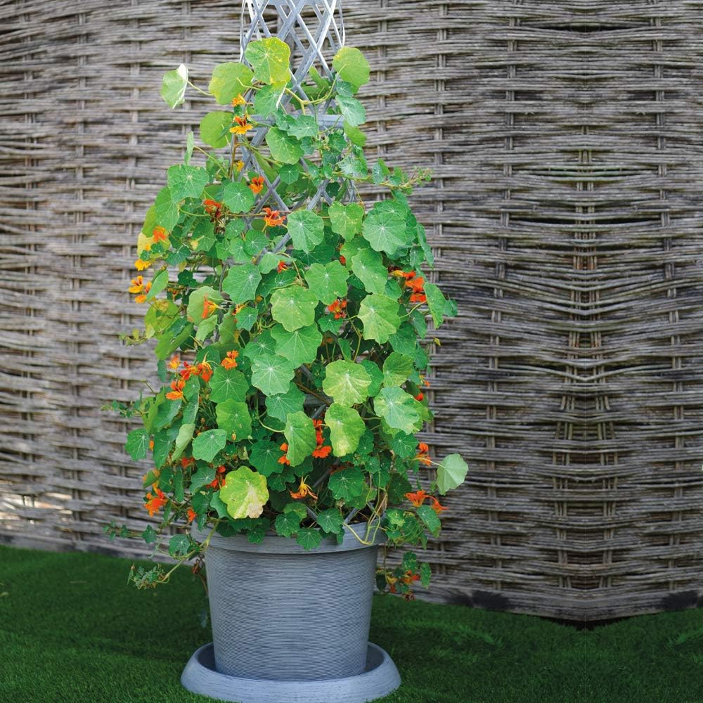 Garden Gear Modern Grey Tower Plant Pot Kit Image 2