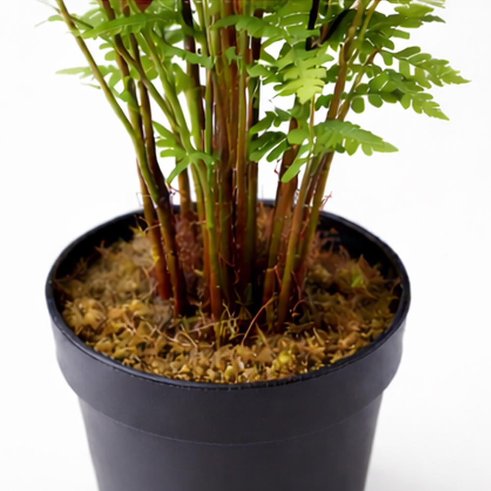 Botanik White Ceramic Planter with Metal Stand 18 x 17cm Image 4
