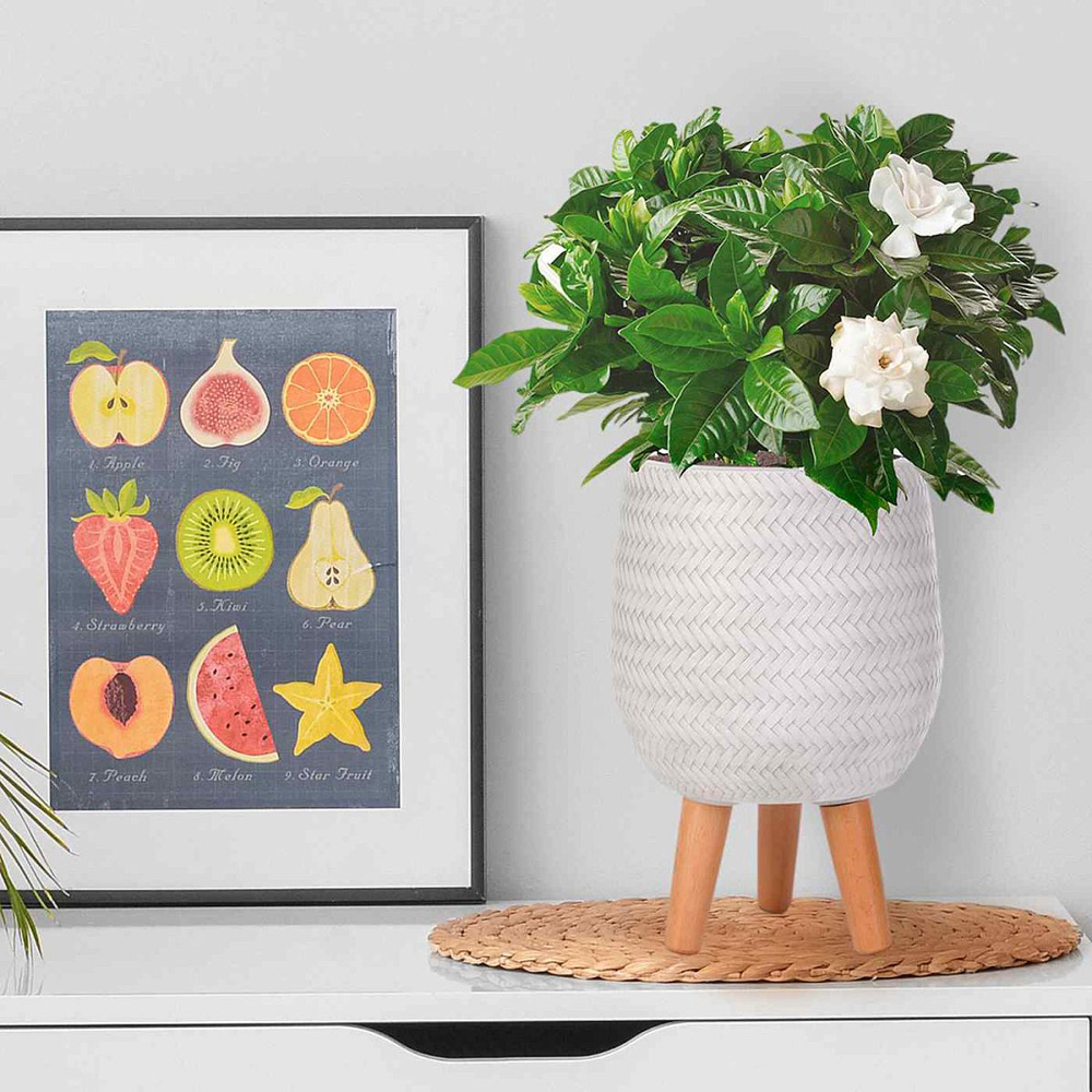 wilko Plaited Style White Round Indoor Planter with Legs 34cm Image 3