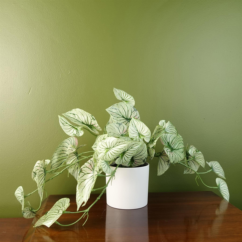 Leaf Trailing Variegated Potted Alocasia Artificial Plant in Pot 30cm Image 2