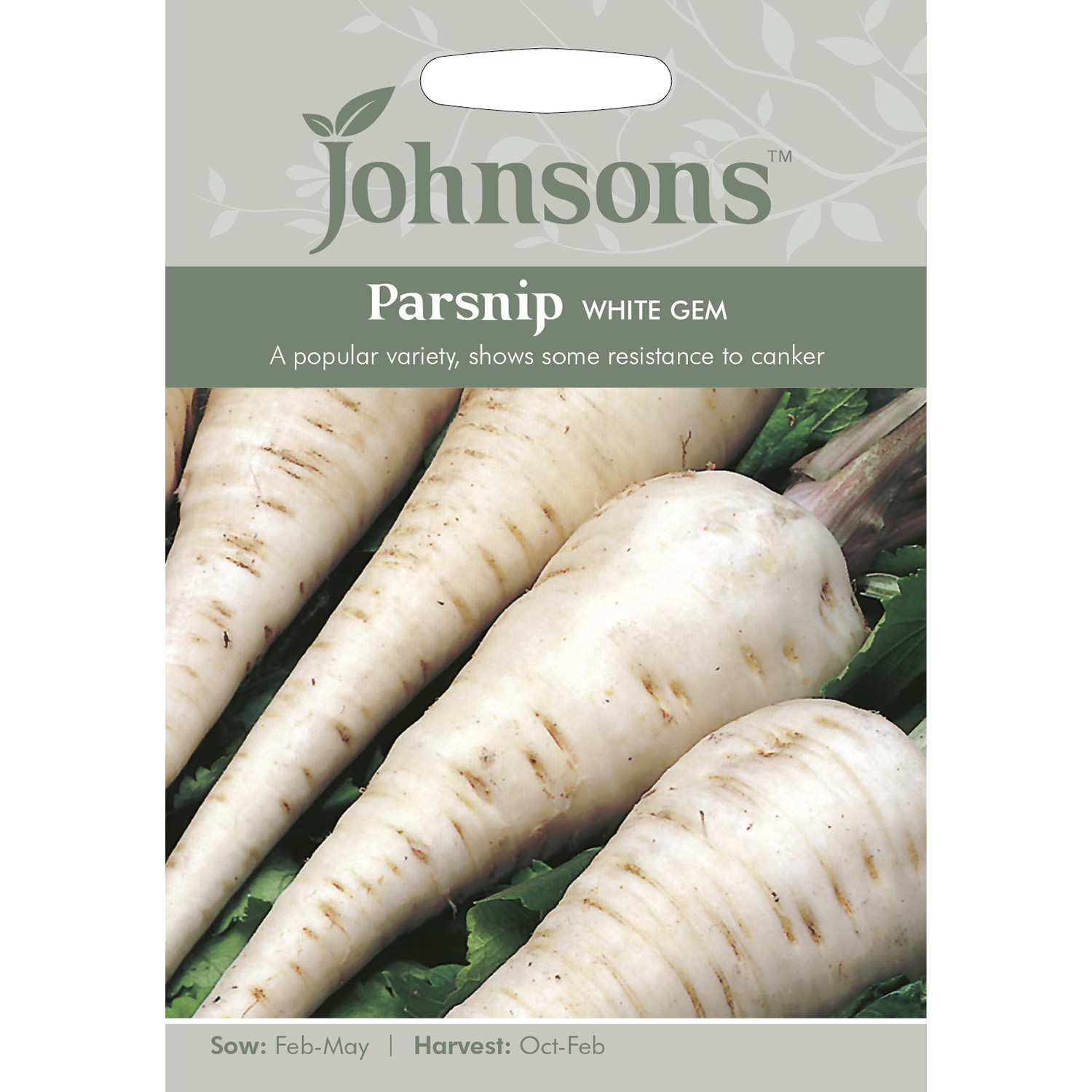 Johnsons White Gem Parsnip Seeds Image 2