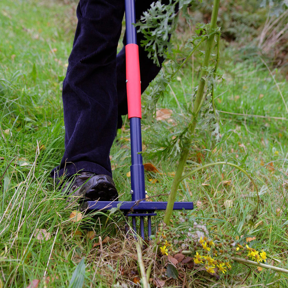 Spear & Jackson Ragwort Ultra Long Handle Weeder Image 8