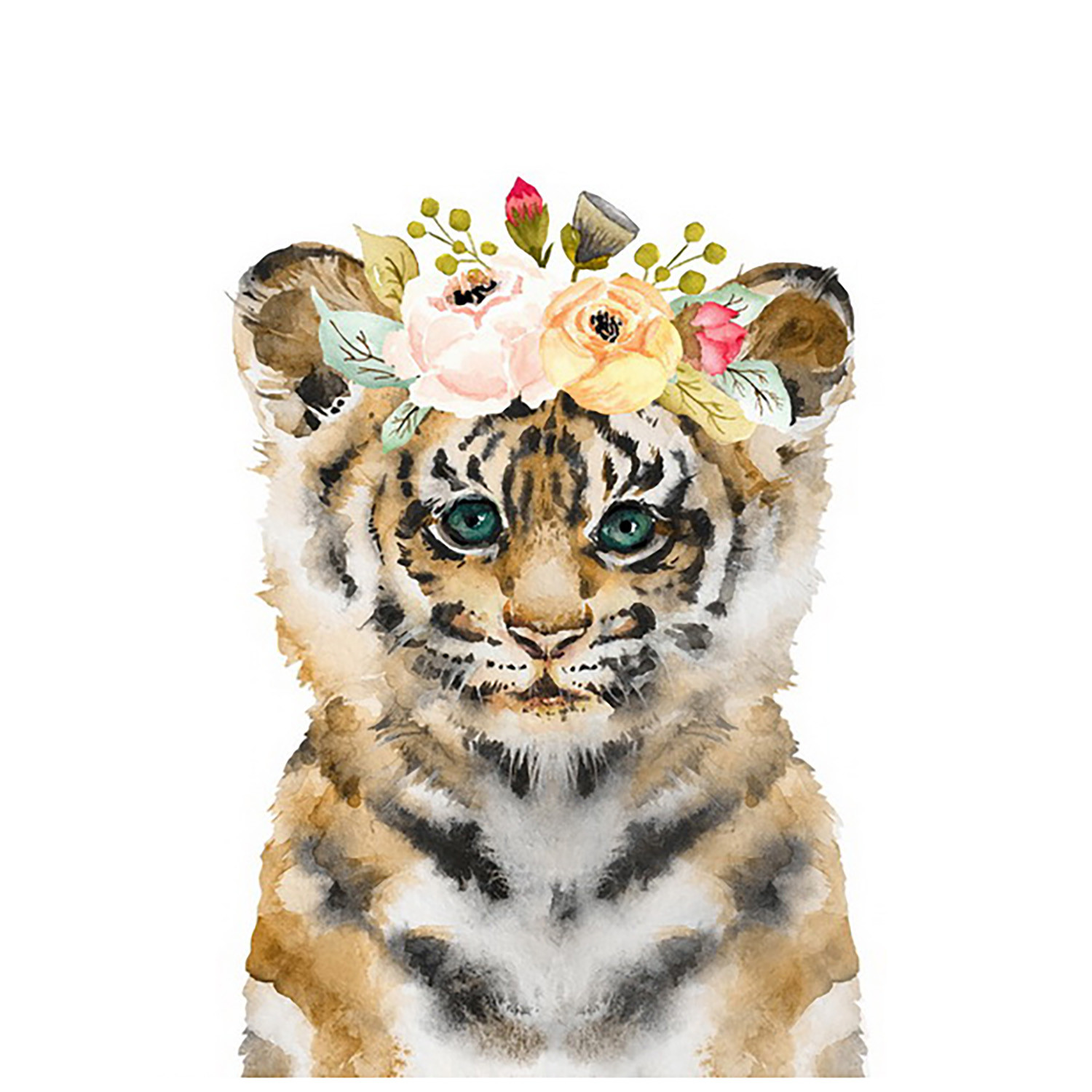 Single Cute Feline Cub Canvas 50 X 40cm in Assorted styles Image 1
