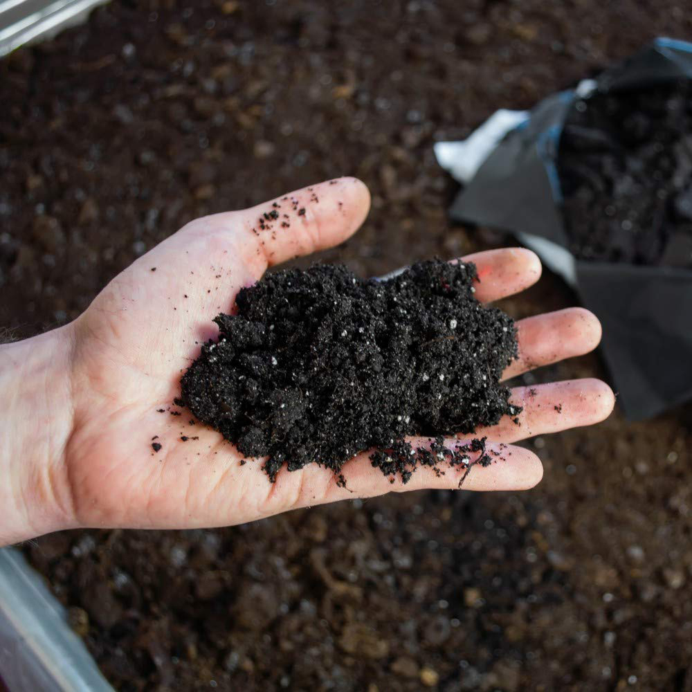 Thompson & Morgan Ericaceous Compost 25L Image 3