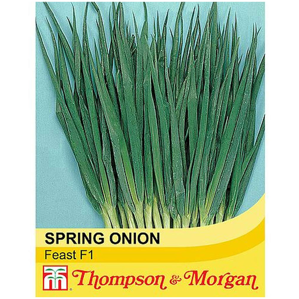 Thompson & Morgan Spring Onion Feast Seeds Image