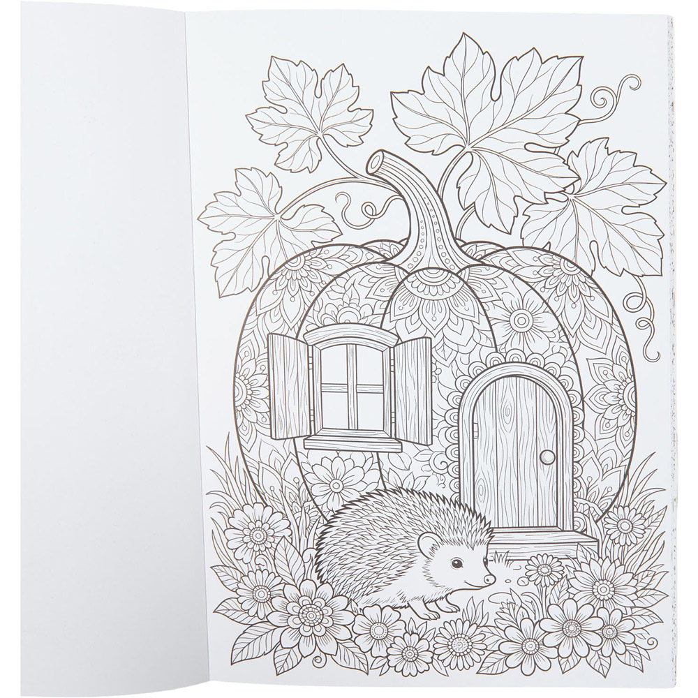 Autumn Mandala Colouring Book Image 4