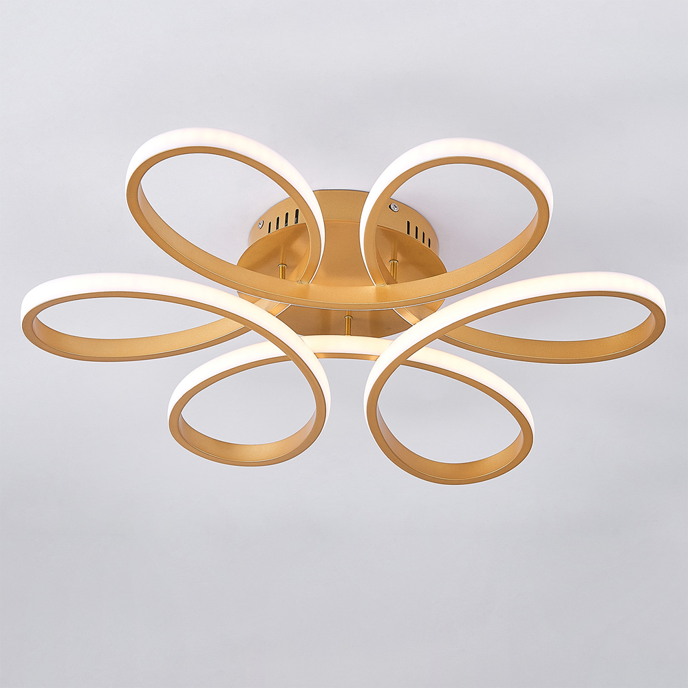Living and Home Golden Frame Modern LED Ceiling Light Image 3
