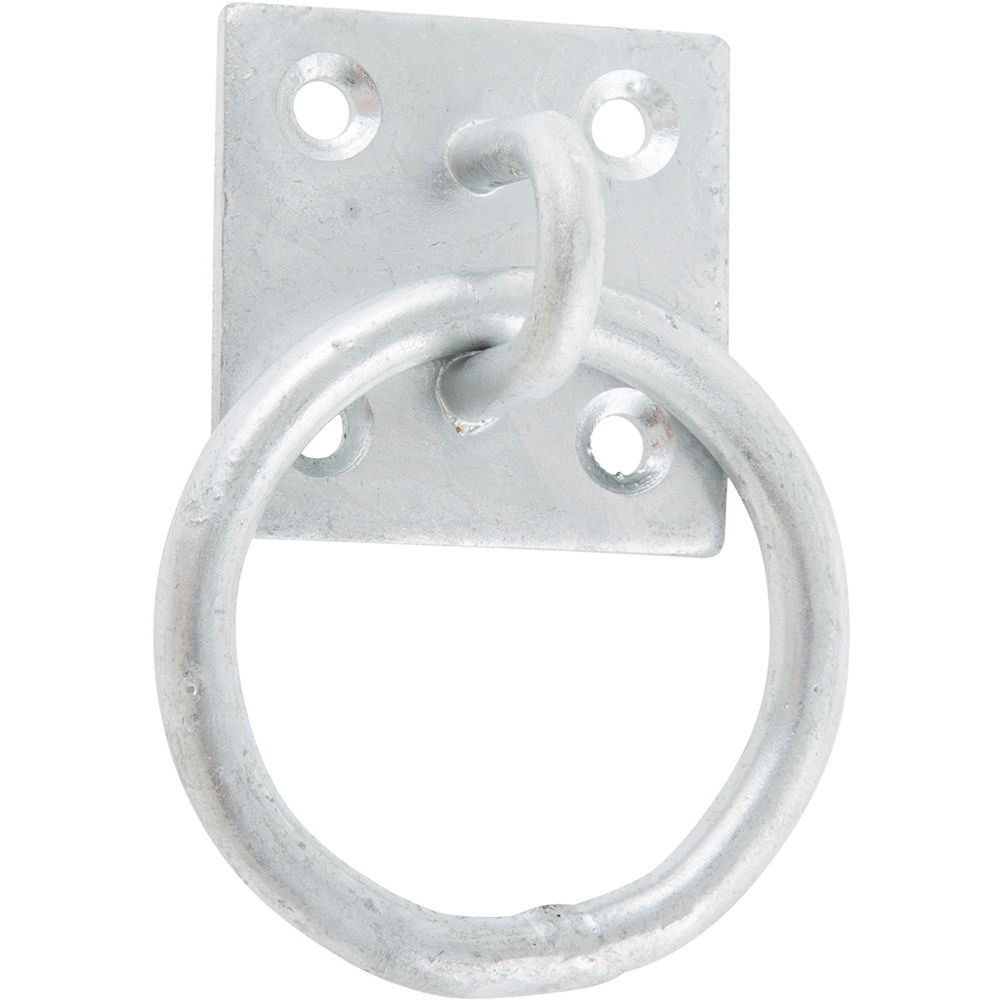 Hiatt Galvanised Ring On Plate Image 1