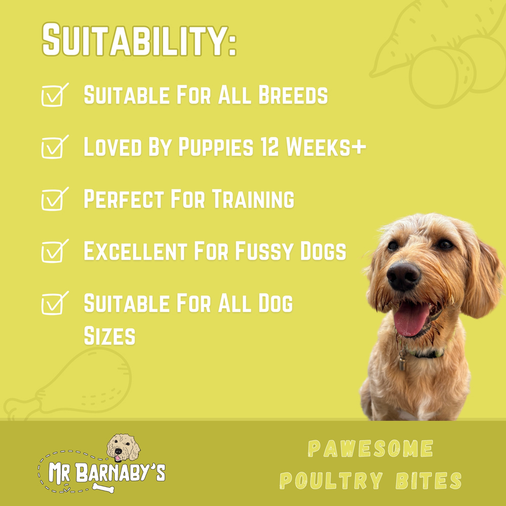 Mr Barnaby's Pawsome Poultry Bites Grain-Free Hypoallergenic Dog Treats 100g 2 Pack Image 5
