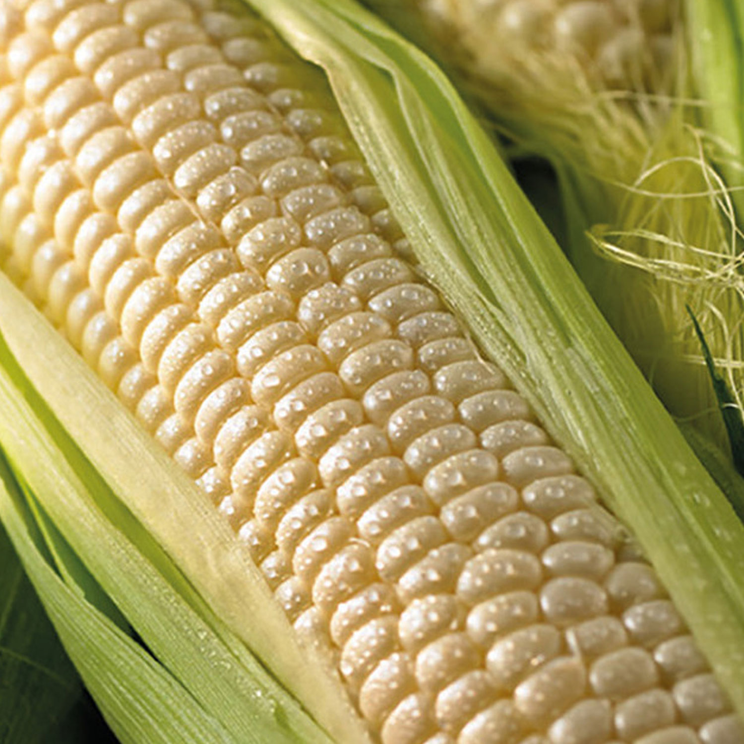 Johnsons Amaize F1 Sweet Corn Seeds Image 1