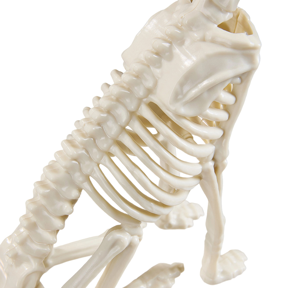 Living and Home Cream White Spooky Cat Skeleton Bone Statue Halloween Figurine 23.5cm Image 2