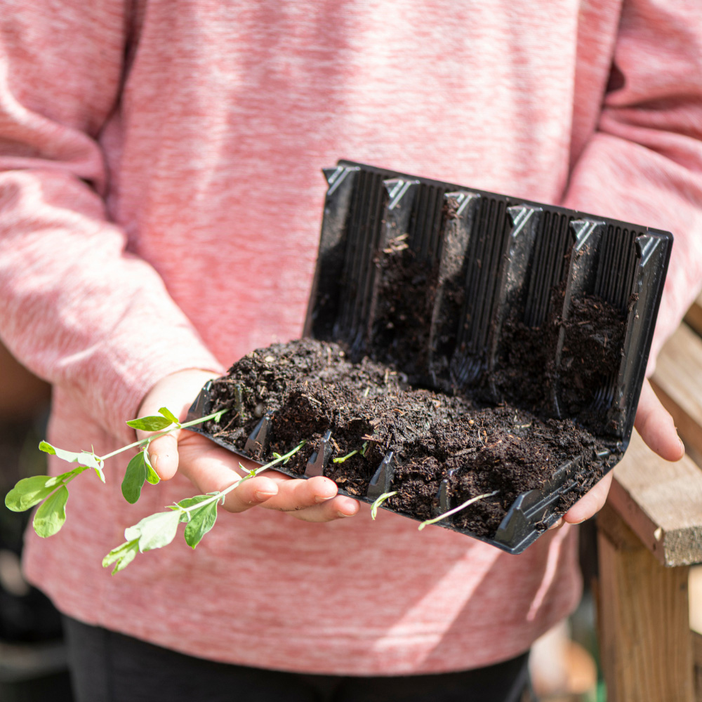 Garden Gear 5-Hole Root Trainer Image 2