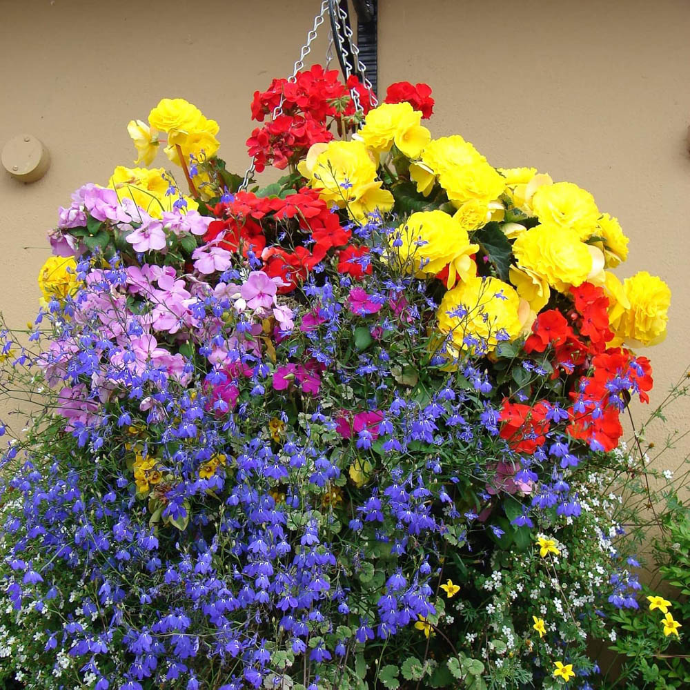 Garden Gear Plastic Hanging Basket 14 inch 2 Pack Image 2