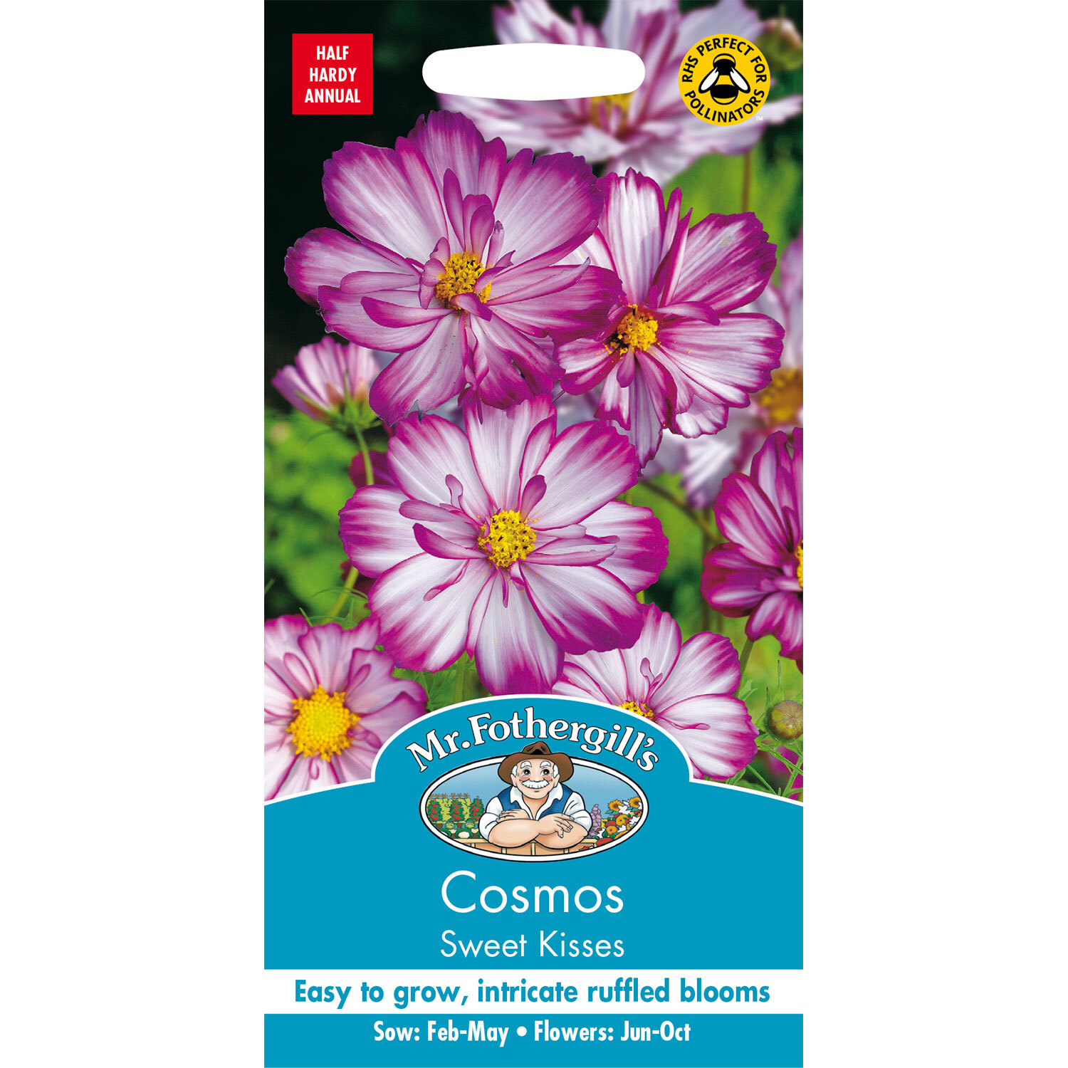 Sweet Kisses Cosmos Seeds Image 1