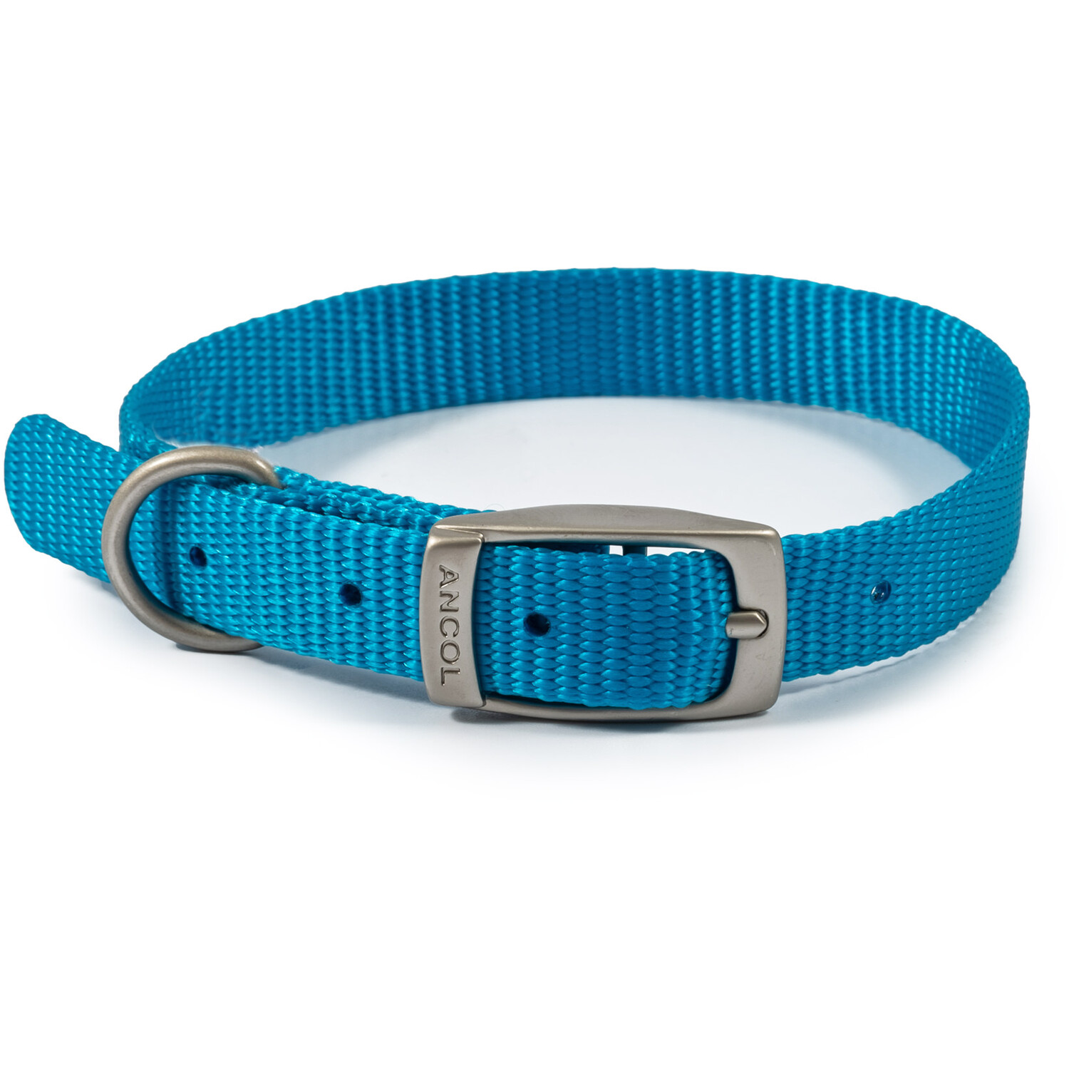 Viva Dog Collar - Blue / 26 - 31cm Neck Image