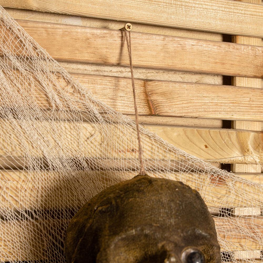 Samuel Alexander Halloween Mummified Skeleton Decoration 5ft Image 3