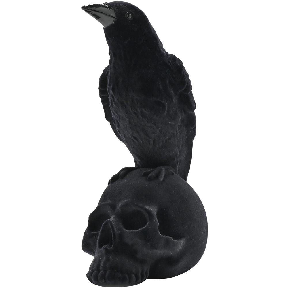 Hocus Pocus Halloween Crow on A Skull Image 3