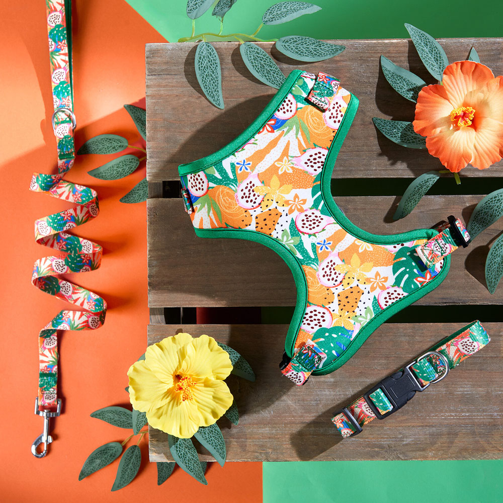 Jungle Fruits Dog Harness Green Image 5