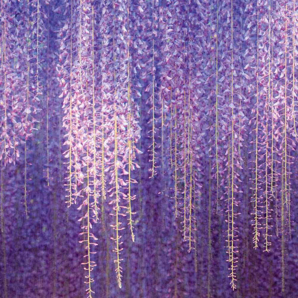 Grandeco Cascading Wisteria Flowers Purple Wall Mural Image 2