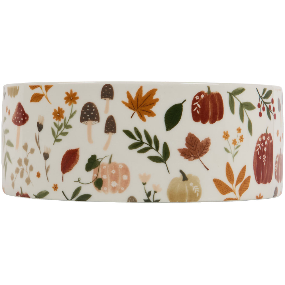 Pumpkin Patch Design Pet Bowl Image 3
