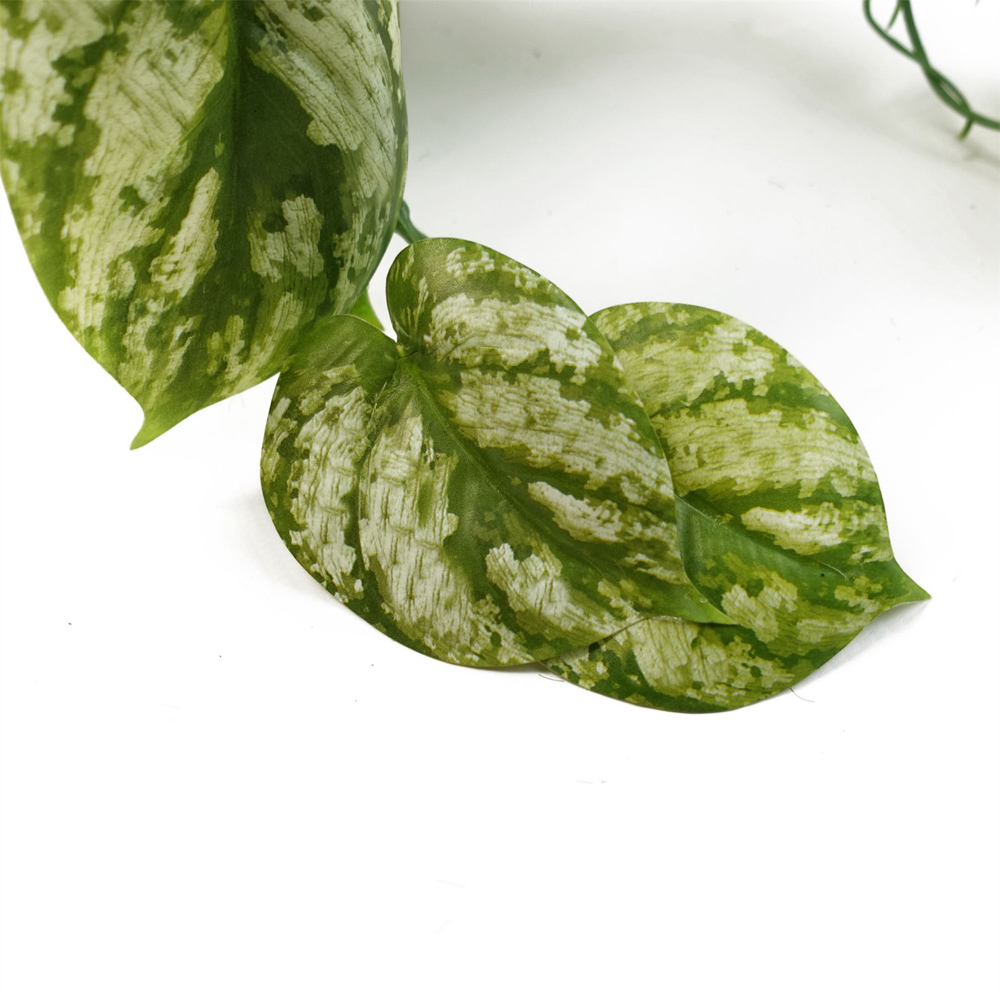 Leaf Light Green Trailing Artificial Plant 35cm Image 4