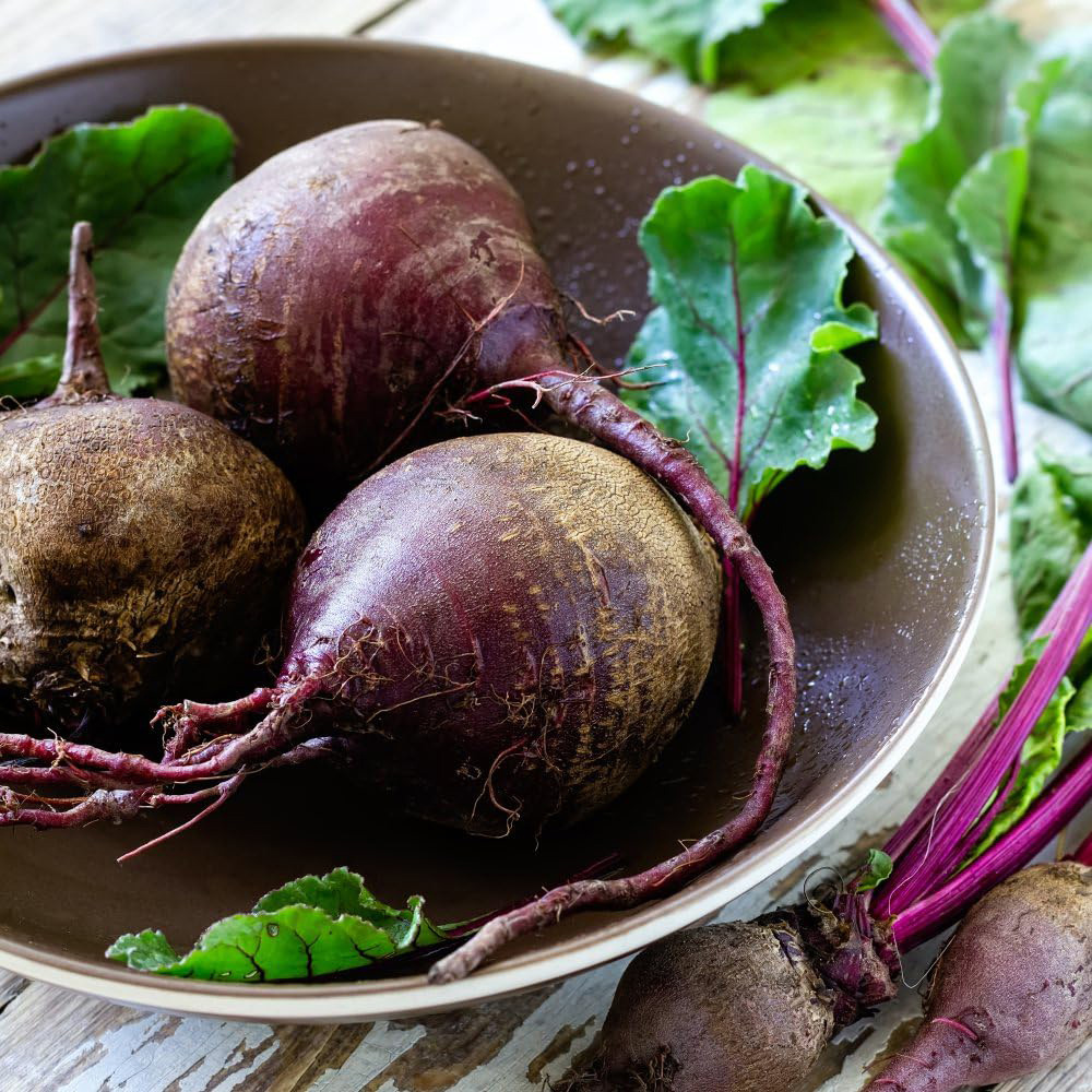 Thompson and Morgan Beetroot Beta Vulgaris Jolie F1 Seeds Image 2