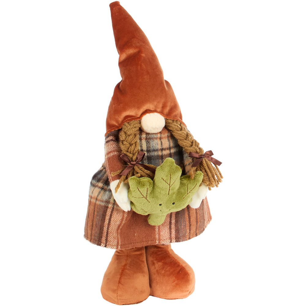 Autumnal Extending Gonks Image 6
