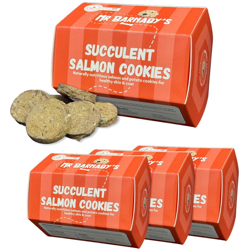 Mr Barnaby's Succulent Salmon Cookies Dog Treats 4 Pack Image 1