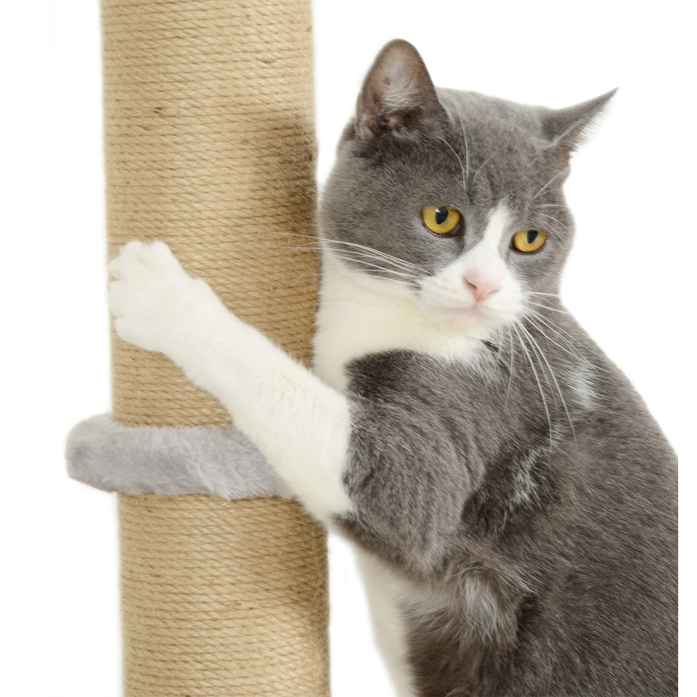 PawHut Cat Shelves with Scratching Post Image 3