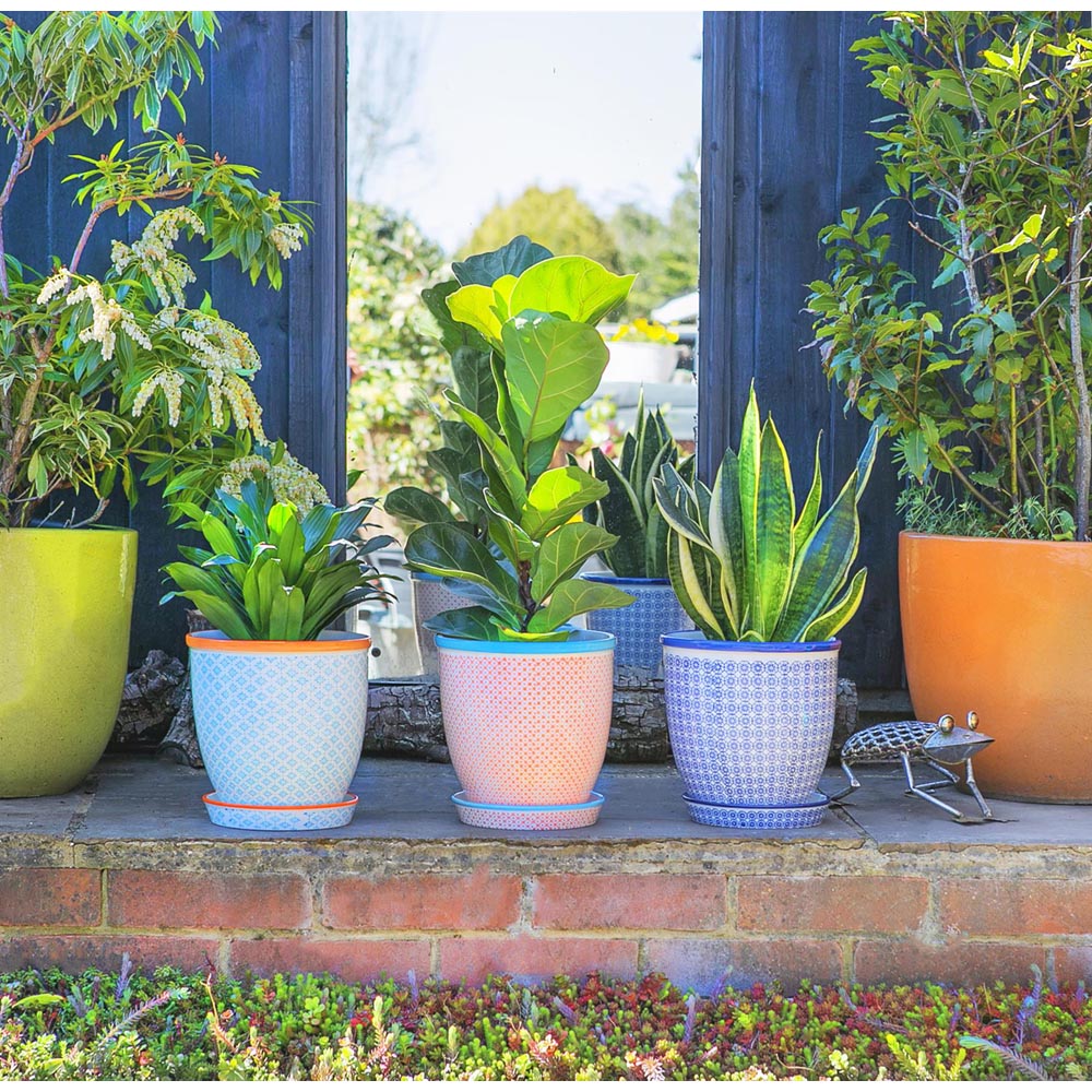 Nicola Spring Hand Printed Plant Pots with Saucers 20.5cm 3 Pack Image 2