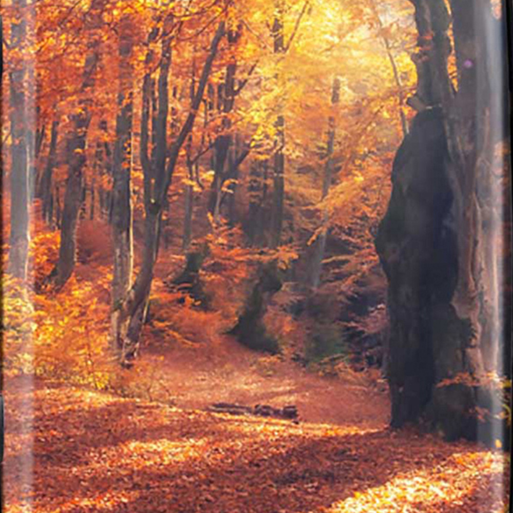 Warren Reed Designer Medium Autumn Forest Suitcase Image 3