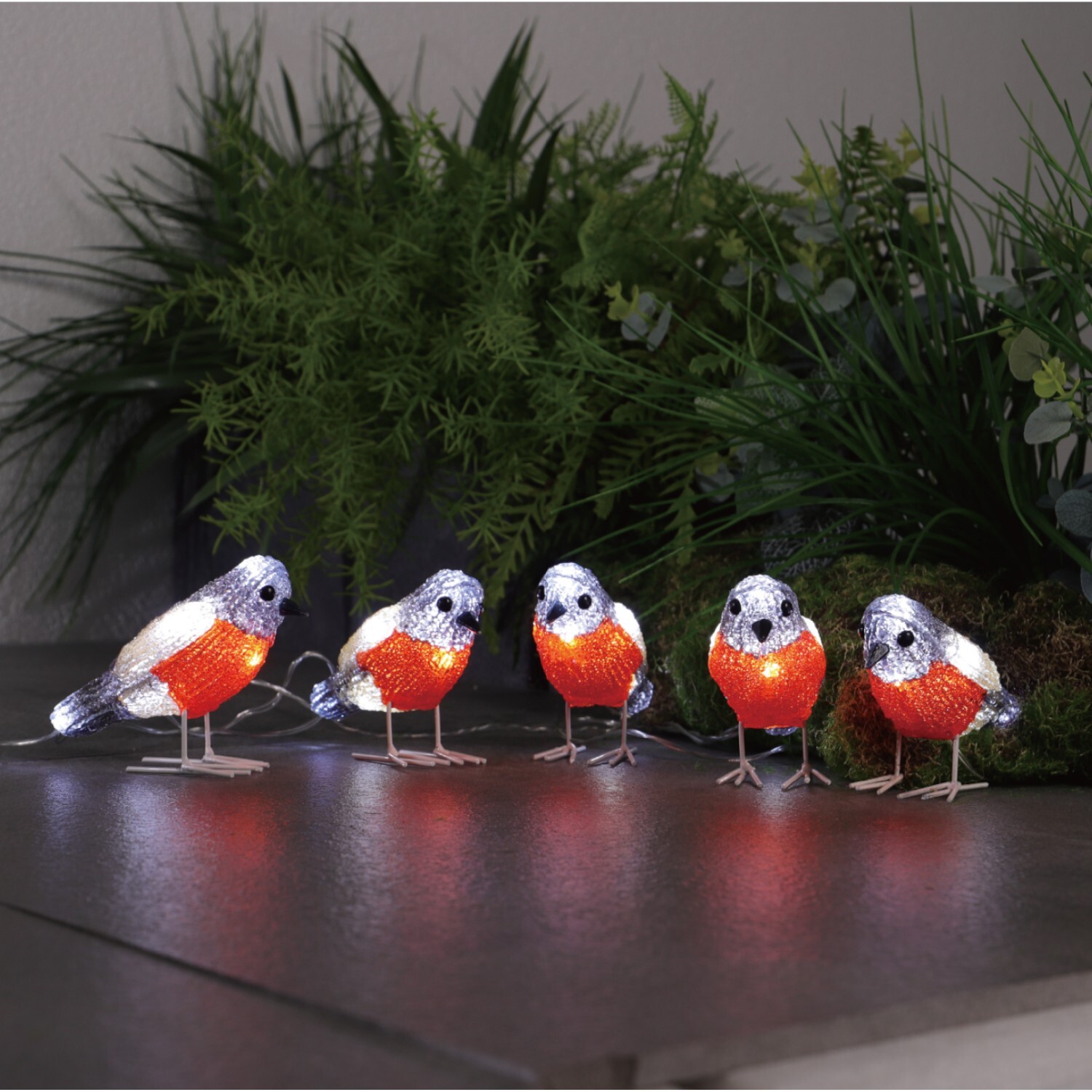 Solar Robin String Light Red Image 2