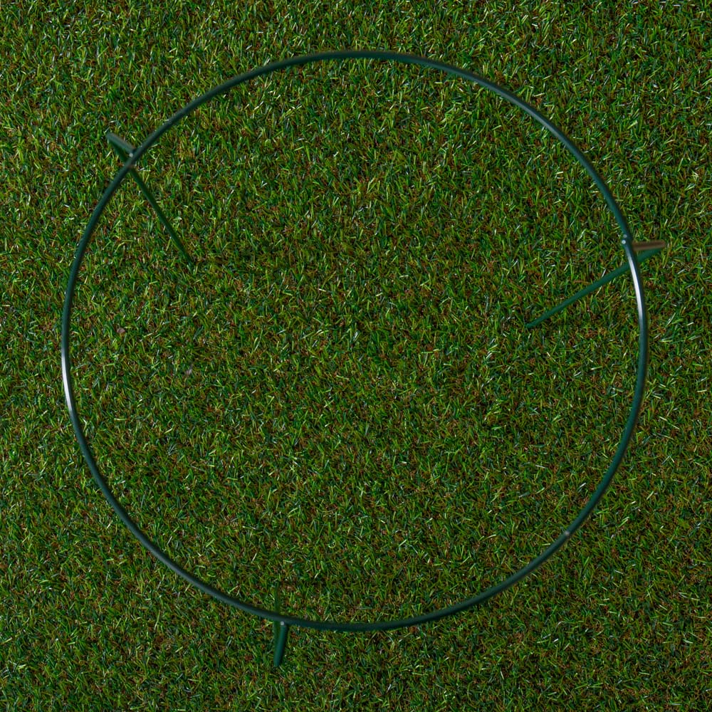 Samuel Alexander Urban Metal Herbaceous Plant Support Ring 30 x 50cm Image 5