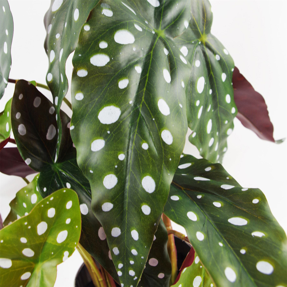 Leaf Spotty Begonia Maculata Artificial Plant in Silver Plastic Pot 1.3ft Image 2