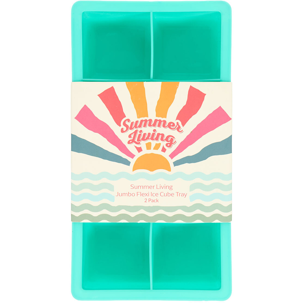 Pack of 2 Giant Ice Cube Mould Image 6