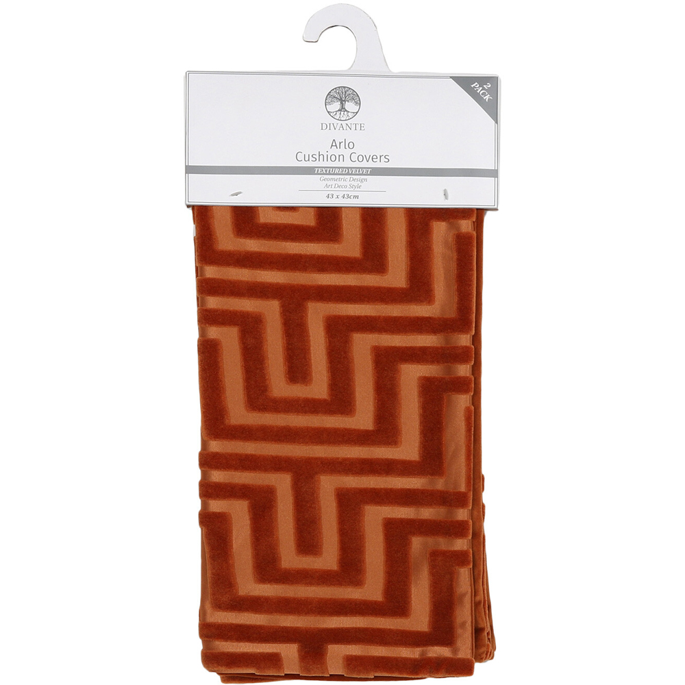Divante Pack of 2 Arlo Velvet Cushion Covers - Rust Image