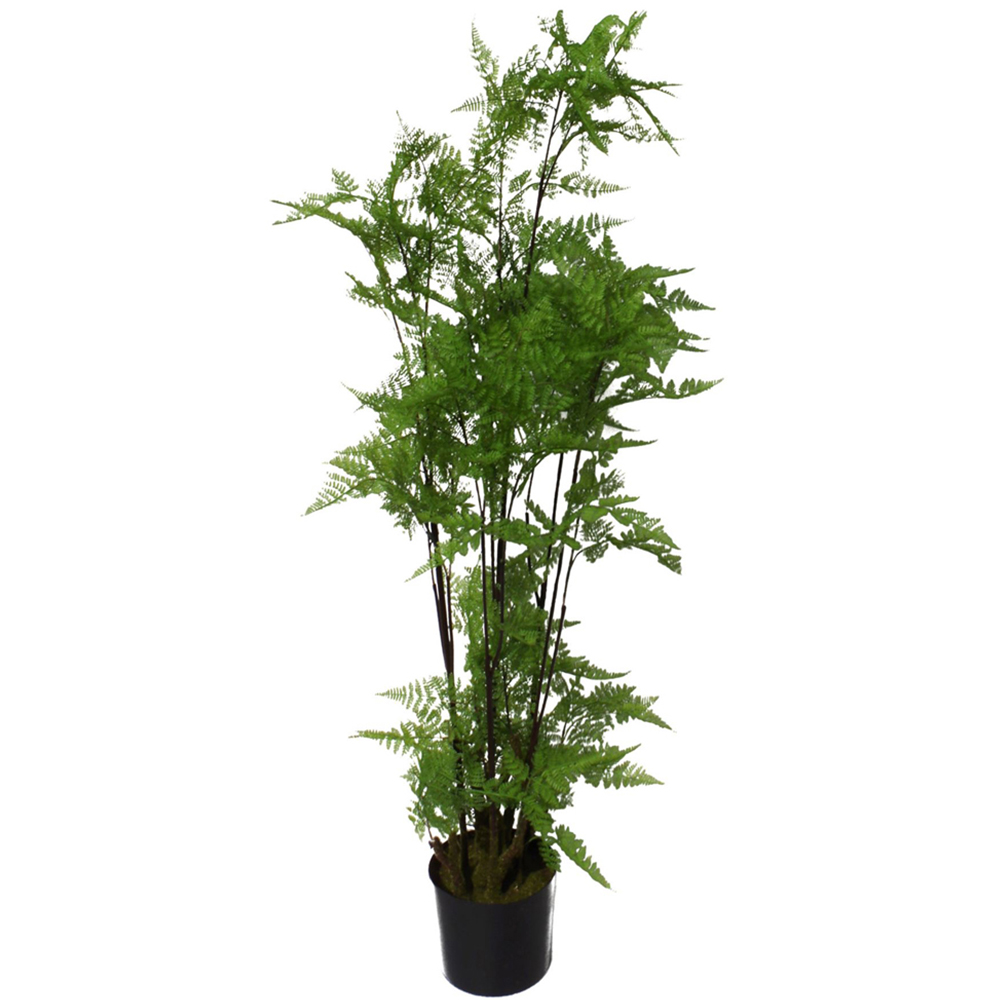 Botanik Natural Look Moss Fern Artificial Plant in Silver Planter 4.9ft Image 3