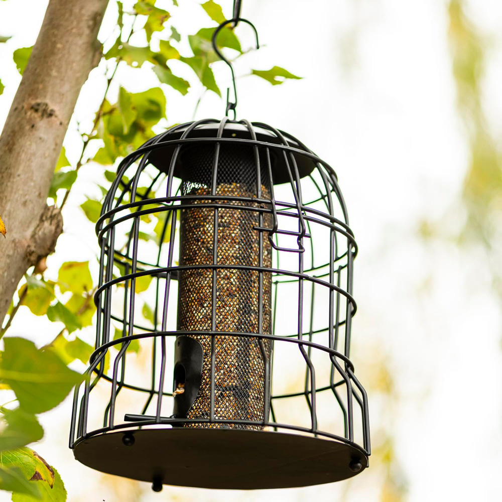 Thompson and Morgan Happy Beaks Premium Squirrel Proof Peanut Feeder Image 4