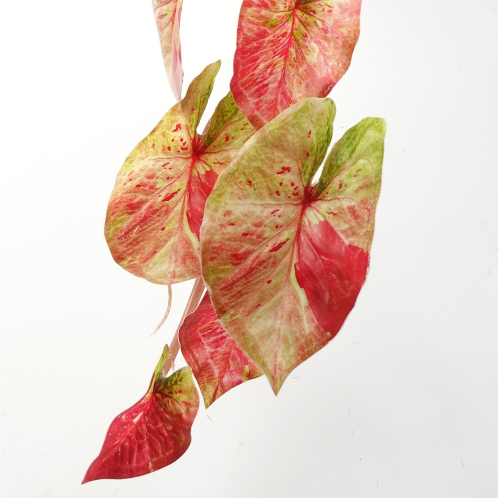 Leaf Pink Trailing Splash Caladium Hanging Artificial Plant 35cm Image 5