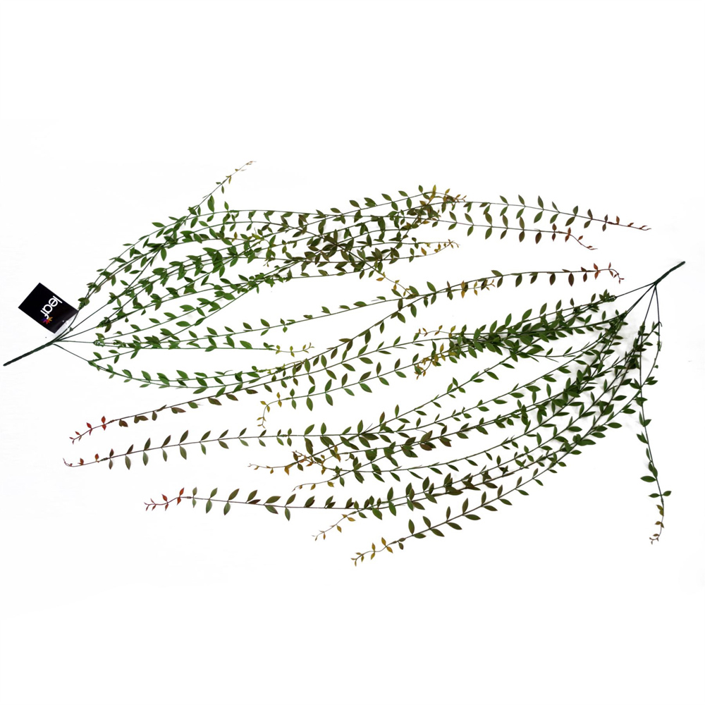 Leaf Extra Long String of Pearls Hanging Artificial Plant 4ft 12 Pack Image 6