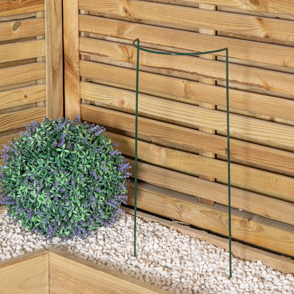 Samuel Alexander Metal Green Herbaceous Plant Support Arc 20 x 60cm Image 2