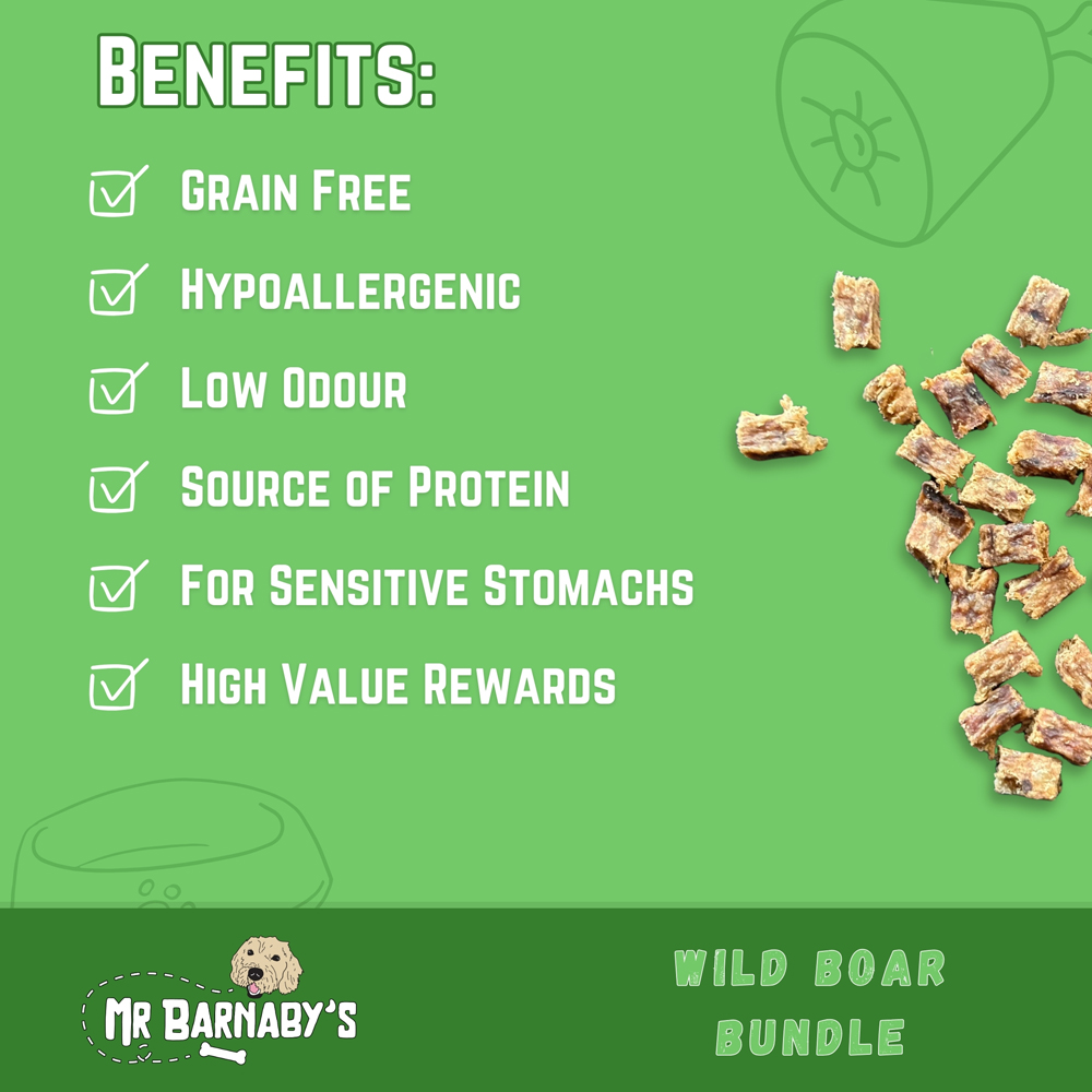 Mr Barnaby's Wild Boar Dog Treats Bundle 2 Pack Image 4