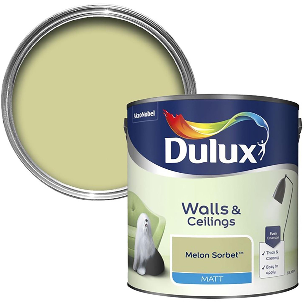 Dulux Walls & Ceilings Matt Paint  - Melon Sorbet Image 1
