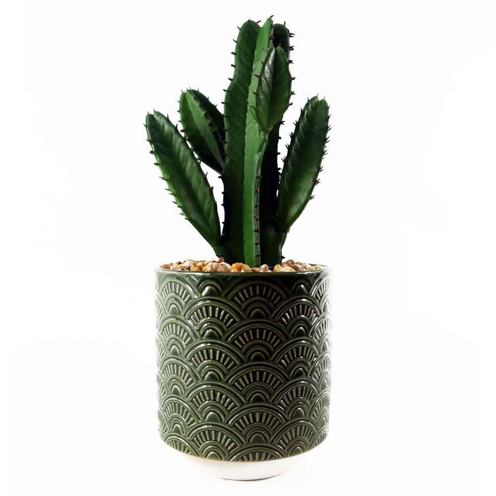 Leaf Cactus Artificial Plant in Green Ceramic Planter 23cm Image 3
