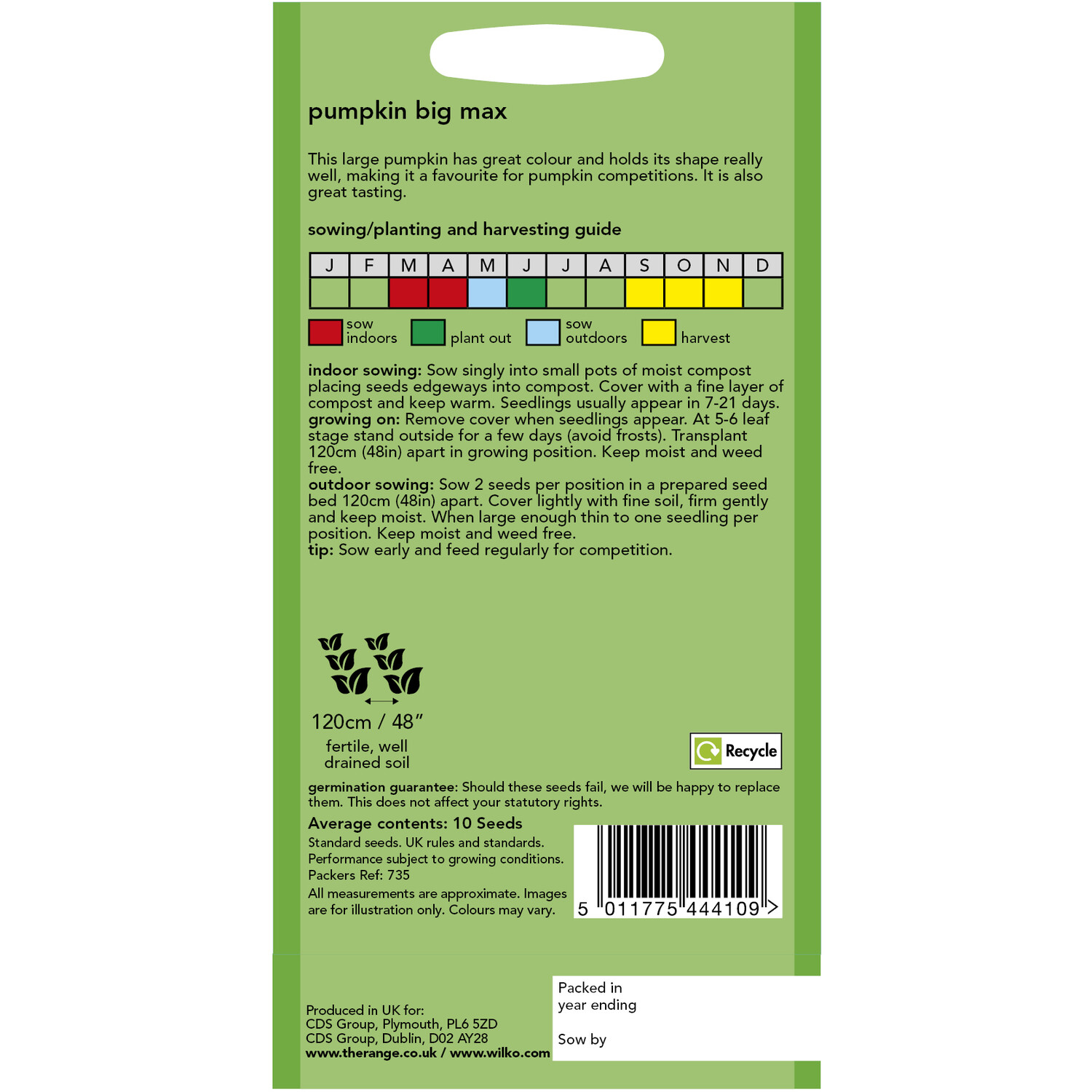 Pumpkin Big Max Seeds Orange Image 2