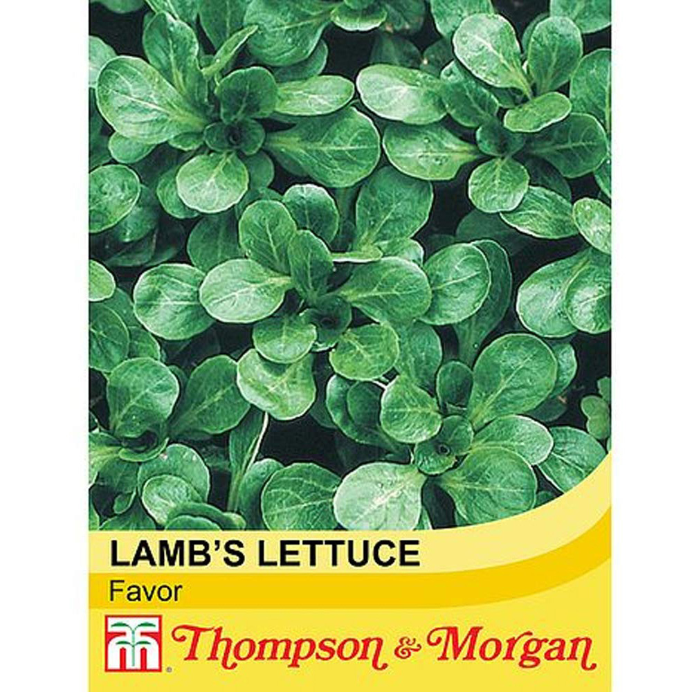 Thompson & Morgan Salad Leaves Lambs Lettuce Favor Seed Packet Image 2