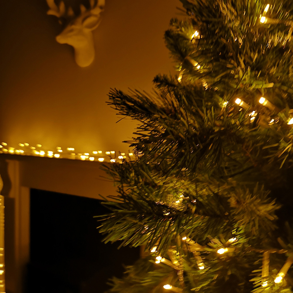 Premier 1000 Vintage Gold LED Multi-Function Clear String Light 25m Image 5