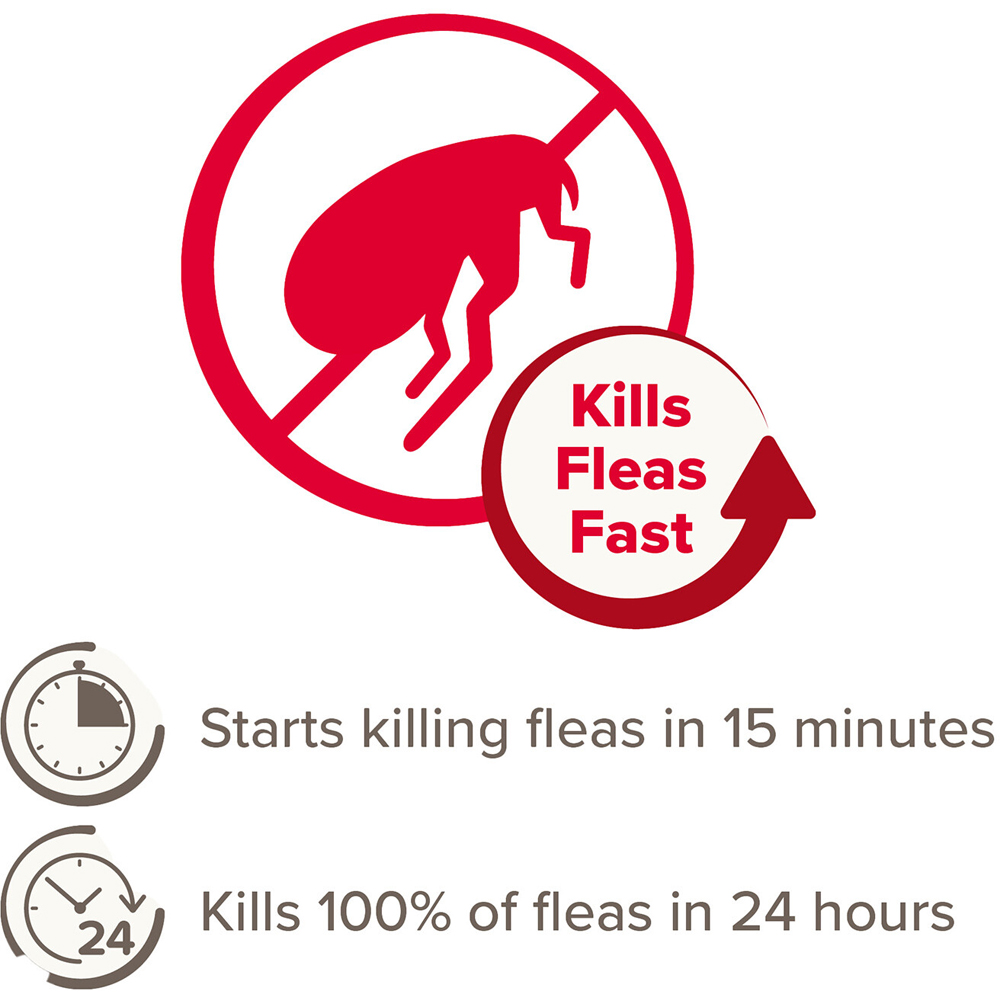Pack of 6 Flea Tablets for Cats Image 5